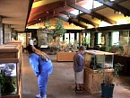 DSC01038.JPG