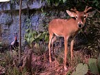 DSC01040.JPG