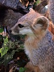 DSC01042.JPG