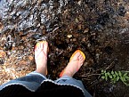 DSC04833.JPG