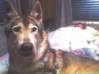 071407_0524.jpg
