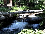 DSC06028.JPG