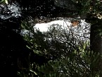 DSC06029.JPG