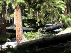 DSC06032.JPG