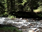DSC06033.JPG