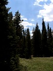 DSC06037.JPG