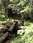 DSC06045.JPG