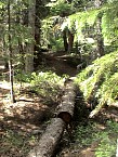 DSC06046.JPG