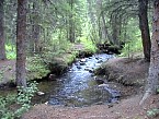 DSC06049.JPG