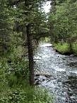 DSC06053.JPG