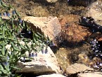 DSC06078.JPG