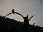 DSC06142.JPG