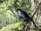 DSC06155.JPG