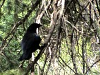 DSC06156.JPG