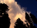 DSC06159.JPG