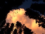 DSC06160.JPG