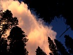 DSC06161.JPG