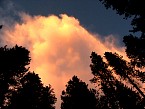 DSC06162.JPG