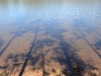 DSC06169.JPG