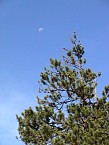 DSC06174.JPG