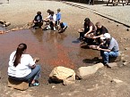 DSC06184.JPG