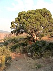 DSC06273.JPG