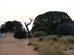 DSC06282.JPG