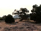 DSC06285.JPG