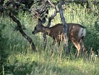 DSC06329.JPG