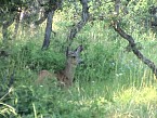 DSC06333.JPG