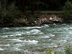 DSC06429.JPG