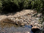 DSC06517.JPG