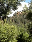 DSC06518.JPG