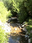 DSC06519.JPG