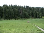 DSC06537.JPG