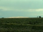 DSC06538.JPG