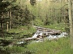 DSC06553.JPG