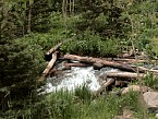 DSC06554.JPG