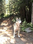 DSC06557.JPG