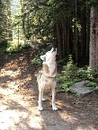 DSC06558.JPG